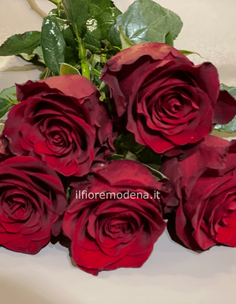 composizione 5 rose rosse